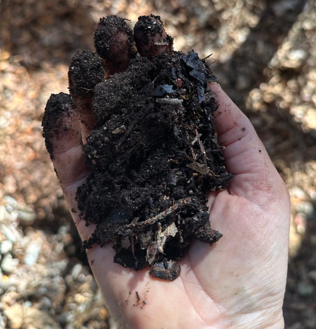 What are all those leaf bags about? Part 4: making leaf mold.