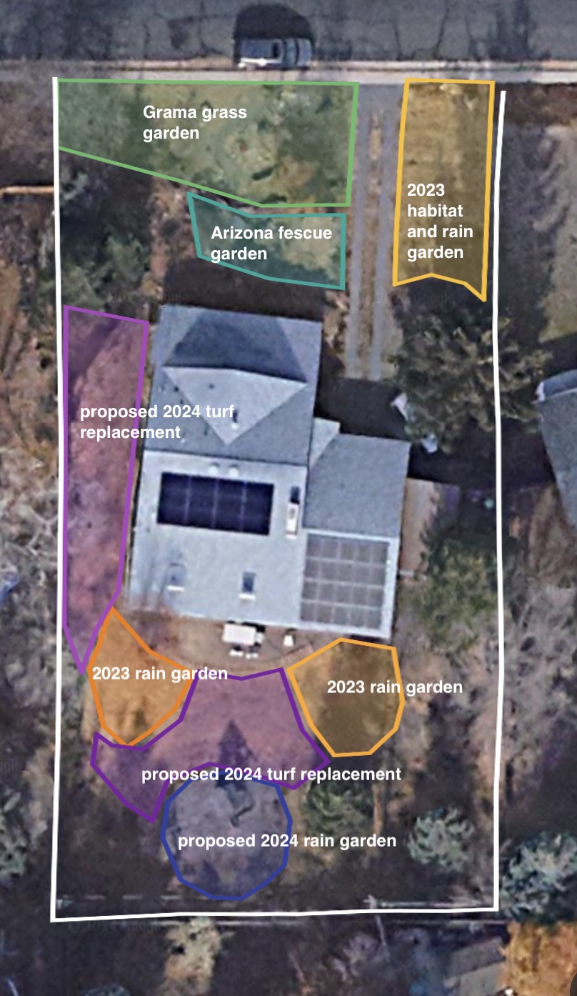 Terra Foundation Grant: Removing Existing Turf, Part 2. What I did, where I did it, and&nbsp;why.